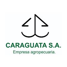 Cliente Caraguata